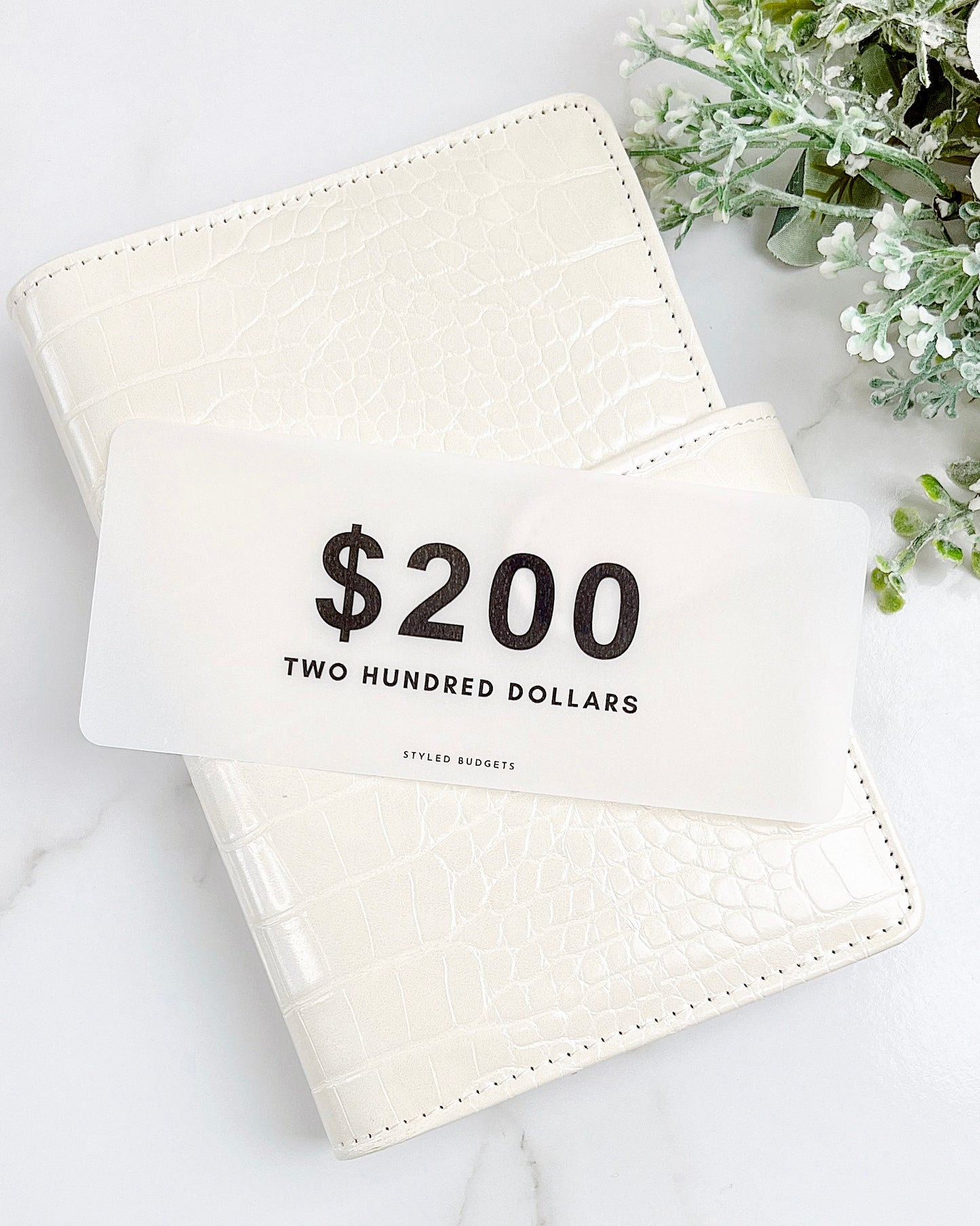 Matte Money Placeholders (Pack of 3)