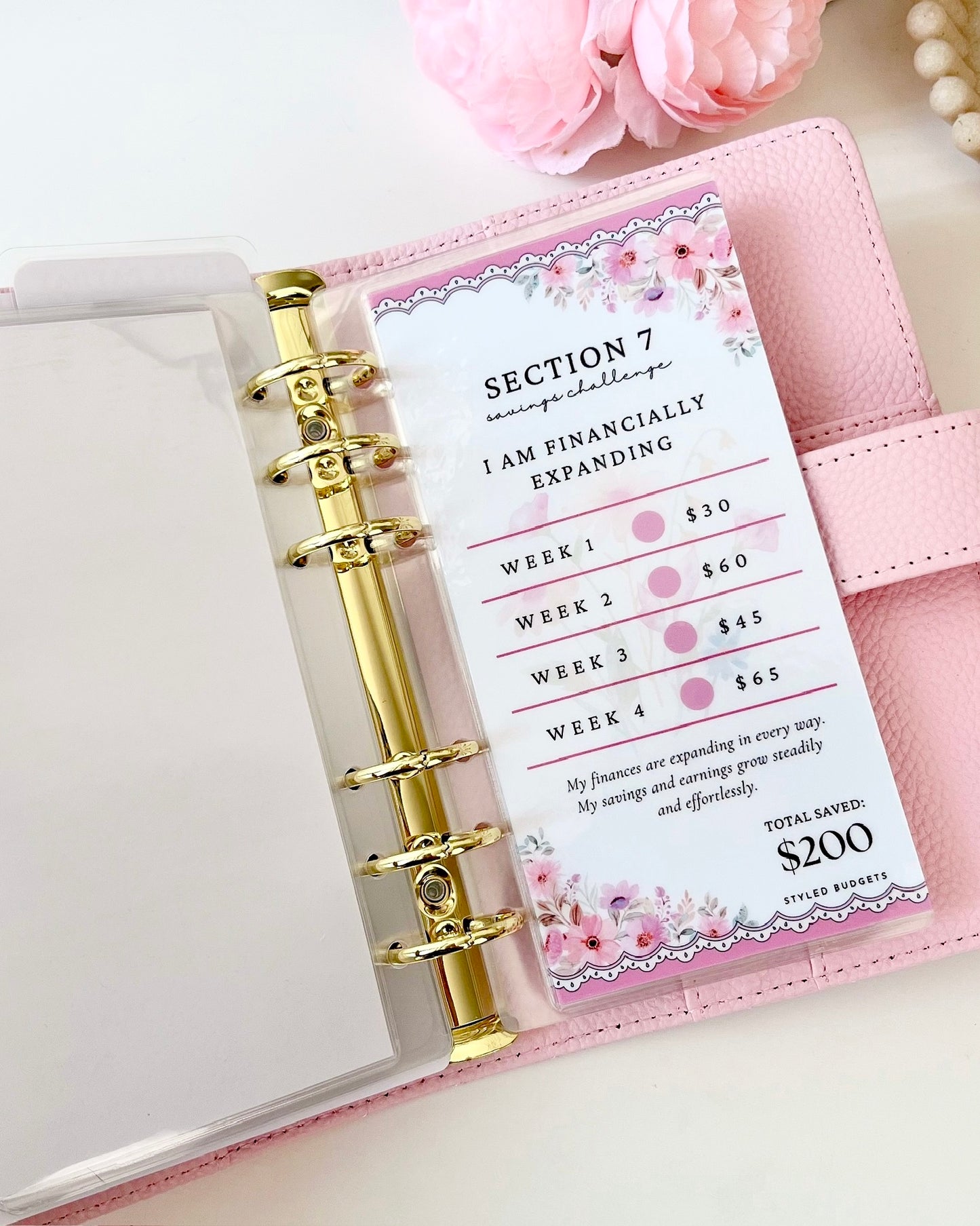 $2026 Payday Challenge